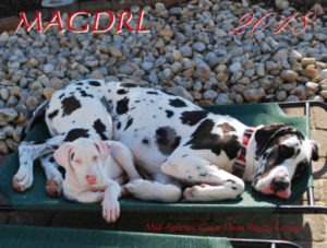 2018 MAGDRL Calendar - Front Image